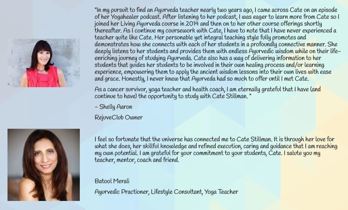 Modern Ayurveda - Dual Benefits of Yoga and Ayurveda - Diet, Exercise, Detox - Image 7