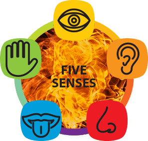 The Ayurvedic Secrets of Digestion - Image 3